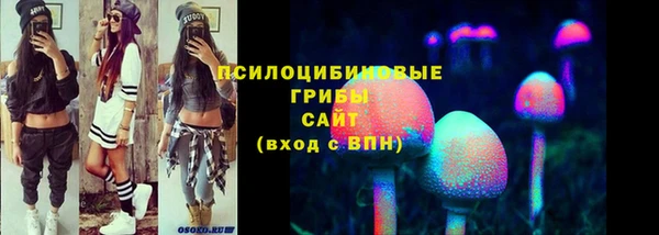 ECSTASY Алексеевка